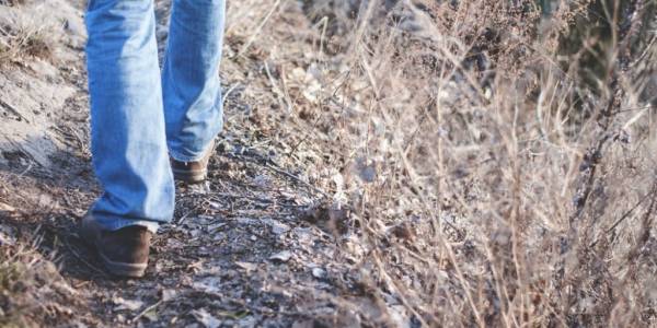 National Heart Foundation Walking – George Town Council