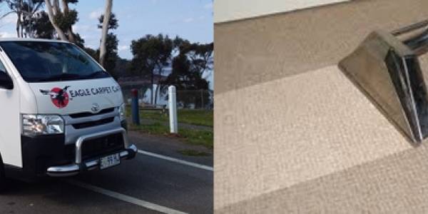 Eagle Carpet Care